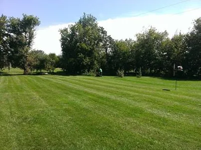 Expert yard cleanup service experts serving Ypsilanti, MI - Simple Lawns