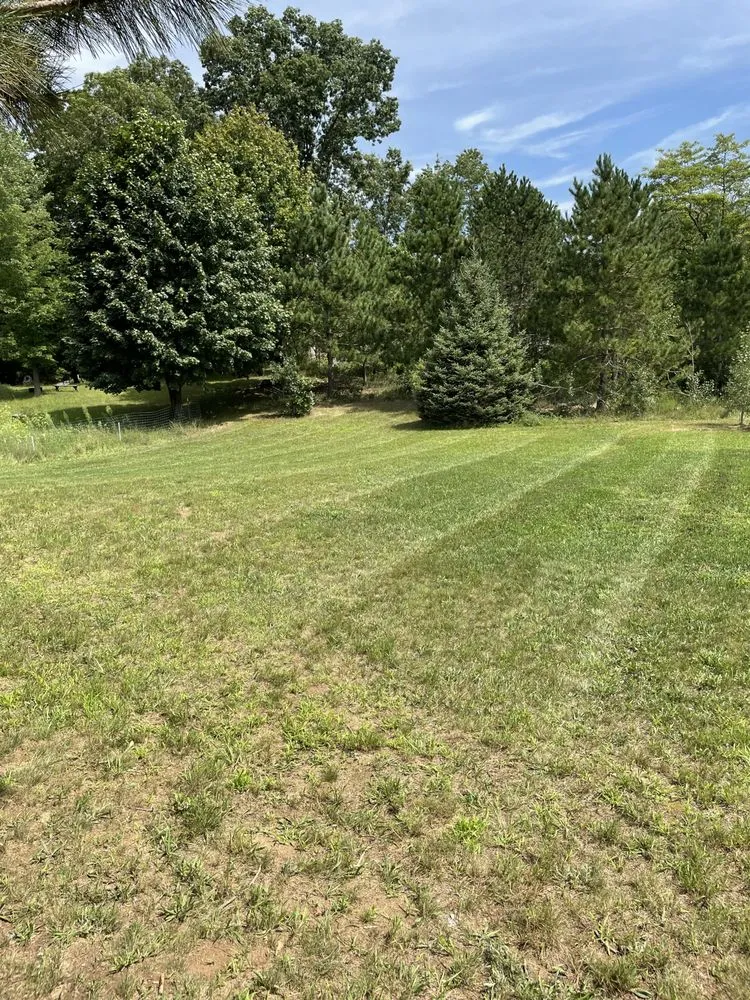 Expert lawn care service in Greenville, MI - Simple Life Landscaping