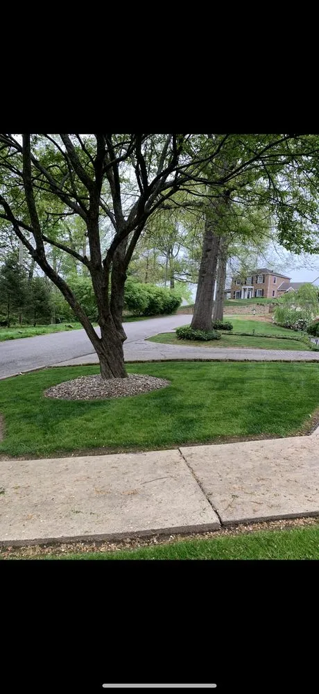 Custom landscaping services in Huntington, WV by Simple Lines