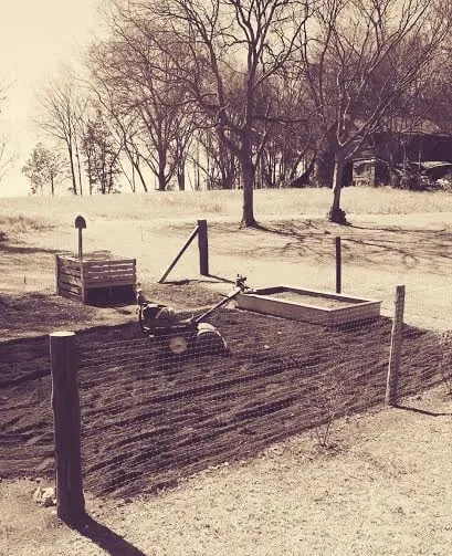 Expert yard cleanup service experts serving Concord, NC - Simple Man's Lawn & Garden