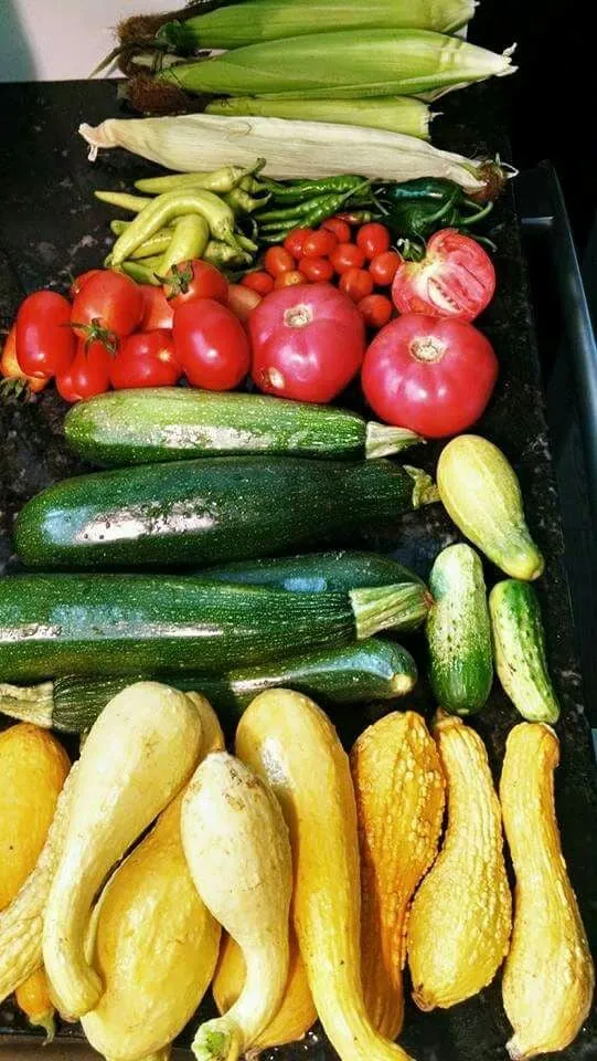 Reliable residential landscaping experts serving Concord, NC - Simple Man's Lawn & Garden