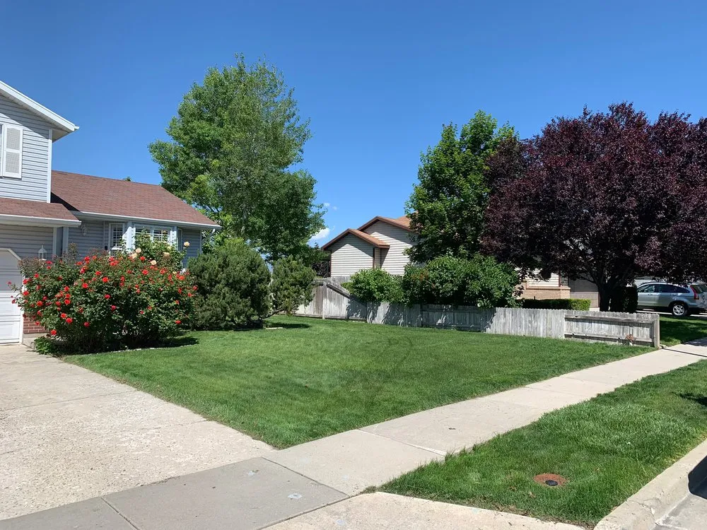 Reliable lawn mowing service for homes across Salt Lake City, UT - Simple Monkey Sprinklers