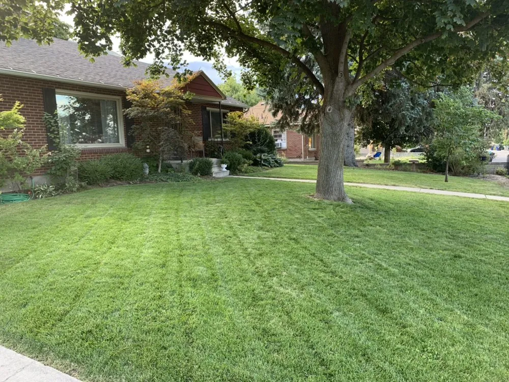 Top-rated landscaping services experts serving Salt Lake City, UT - Simple Monkey Sprinklers