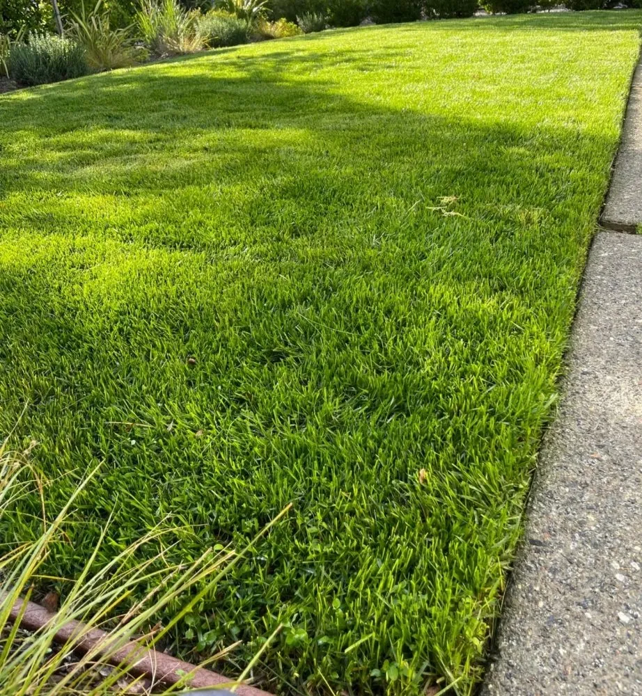 Custom lawn mowing service in Gloversville, NY - Simple Mow