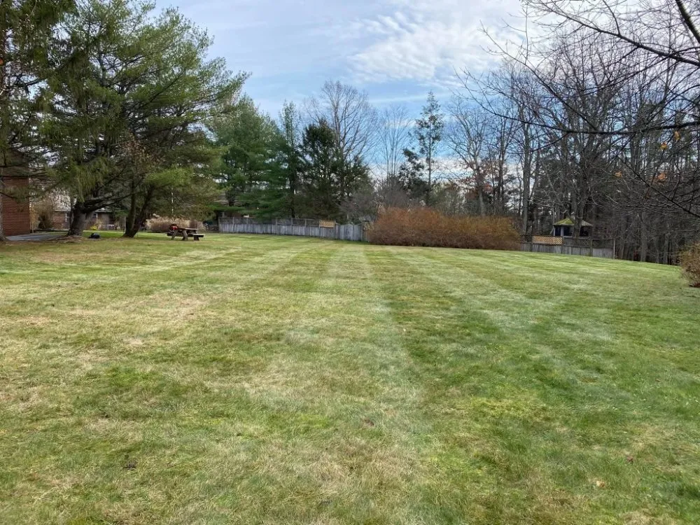 Reliable landscaping services for residential properties across Gloversville, NY - Simple Mow