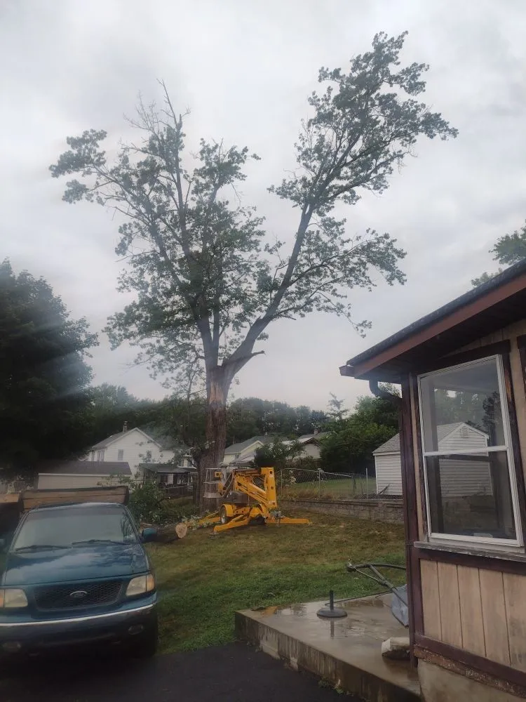 Expert landscape design for year-round maintenance in Scranton, PA by Simple Mowing & Lawn Care Services