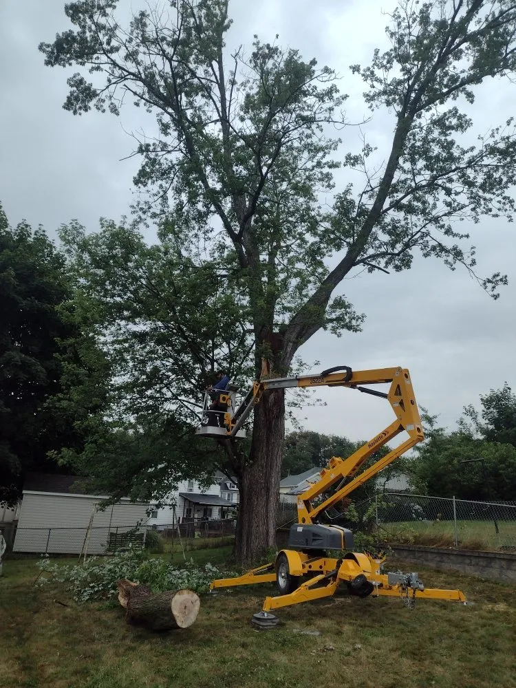 Expert landscape design experts serving Scranton, PA - Simple Mowing & Lawn Care Services