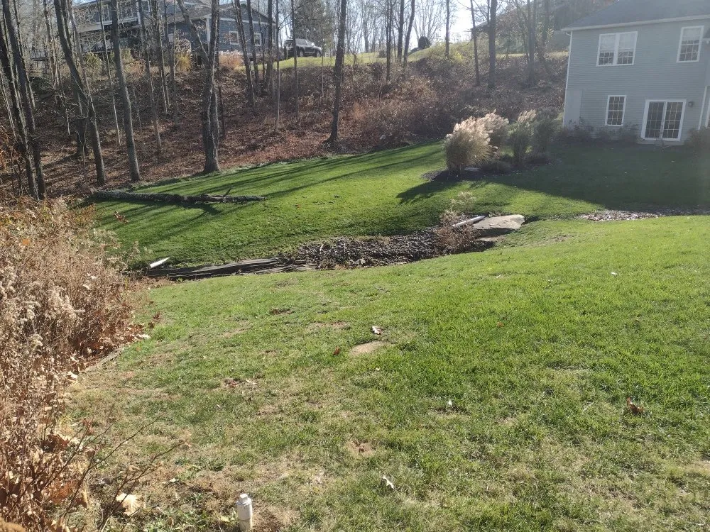Affordable yard cleanup service experts serving Scranton, PA - Simple Mowing & Lawn Care Services