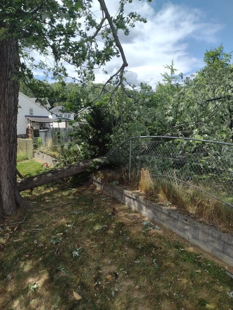 Expert yard maintenance in Scranton, PA - Simple Mowing & Lawn Care Services