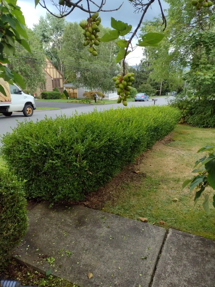 Expert landscape installation in Scranton, PA - Simple Mowing & Lawn Care Services