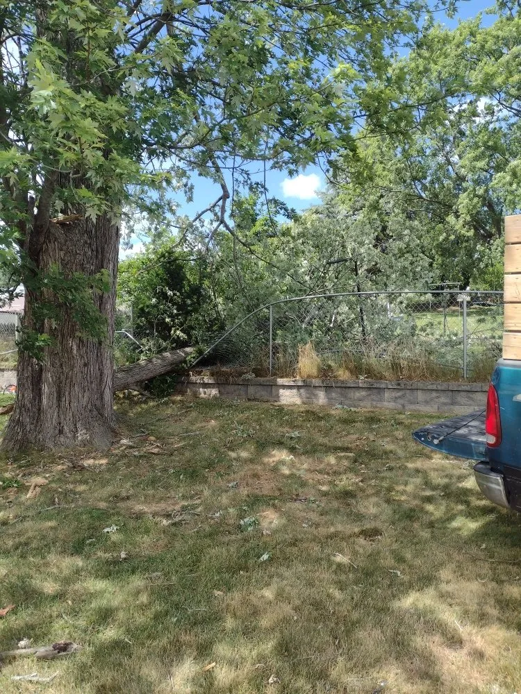 Professional yard cleanup service in Scranton, PA by Simple Mowing & Lawn Care Services