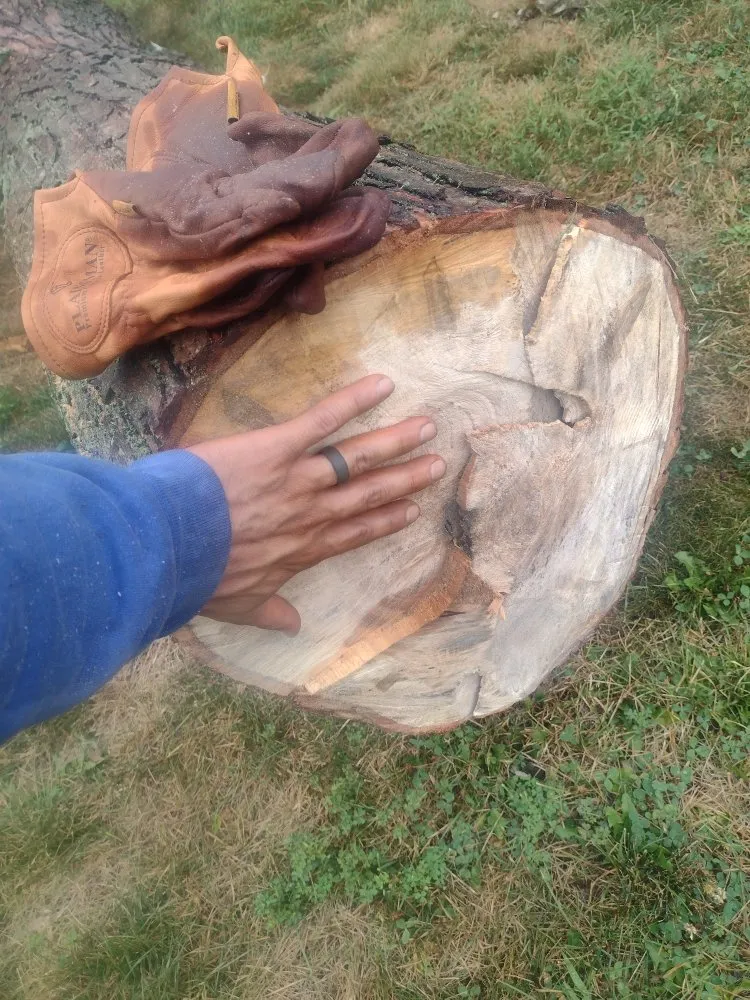 Trusted residential landscaping for beautiful yards across Scranton, PA - Simple Mowing & Lawn Care Services