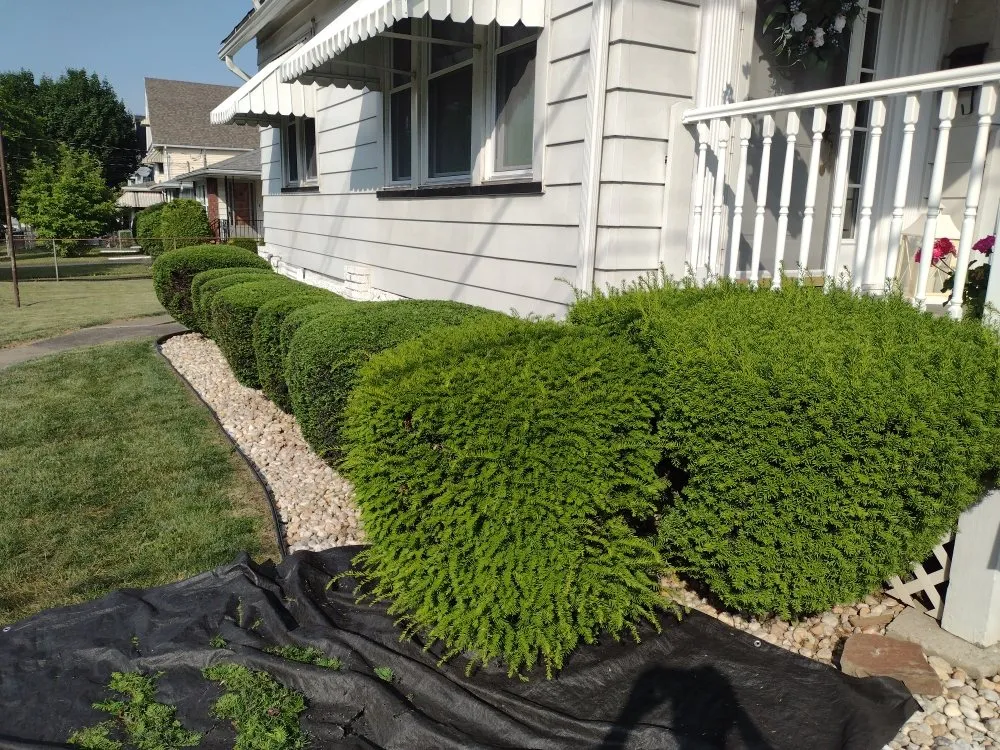 Local residential landscaping in Scranton, PA - Simple Mowing & Lawn Care Services