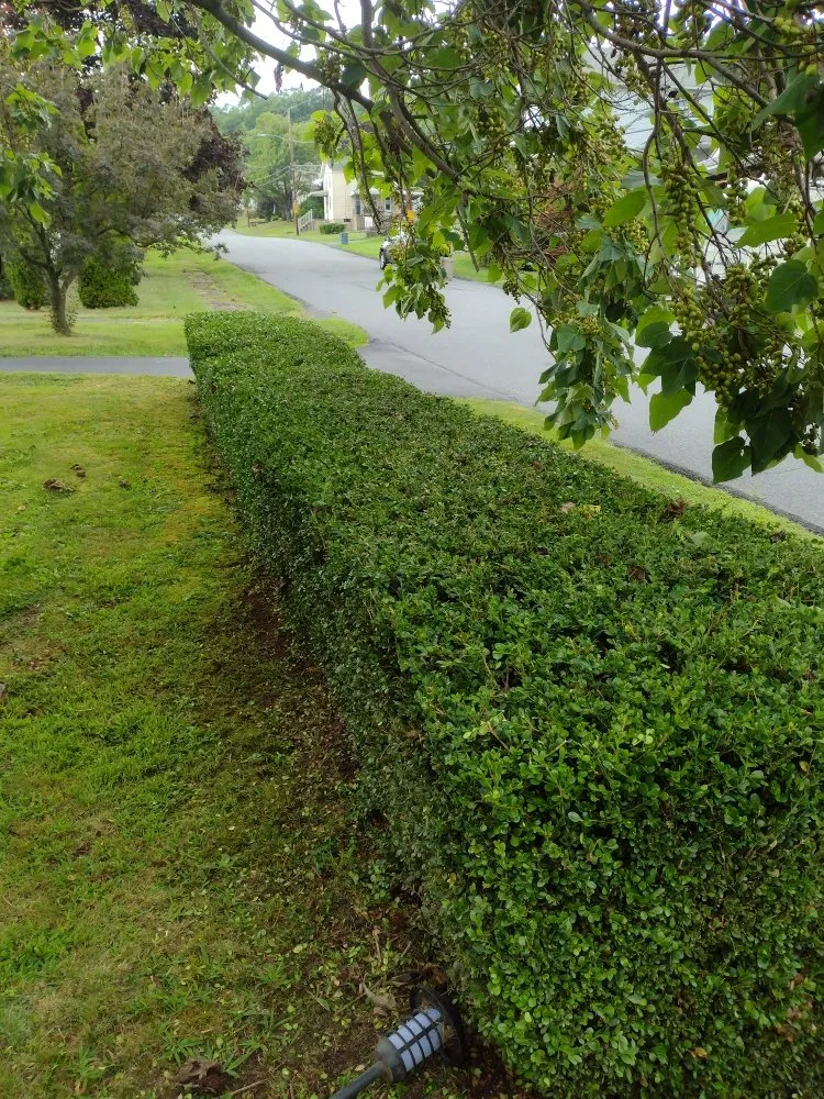 Top-rated outdoor landscaping for homes in Scranton, PA by Simple Mowing & Lawn Care Services