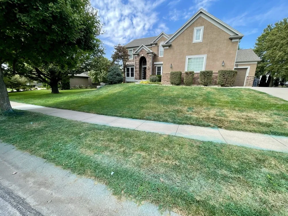 Trusted yard maintenance in Blue Springs, MO by Simple Project KC