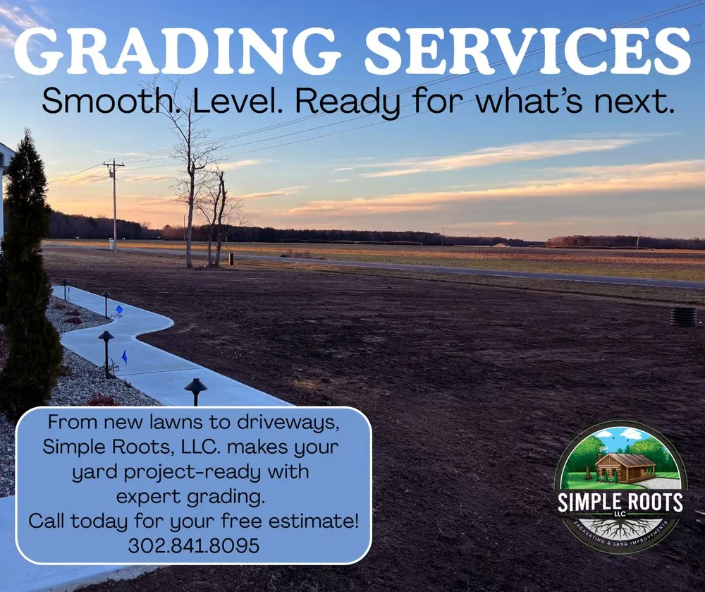 Local yard cleanup service experts serving Georgetown, DE - Simple Roots