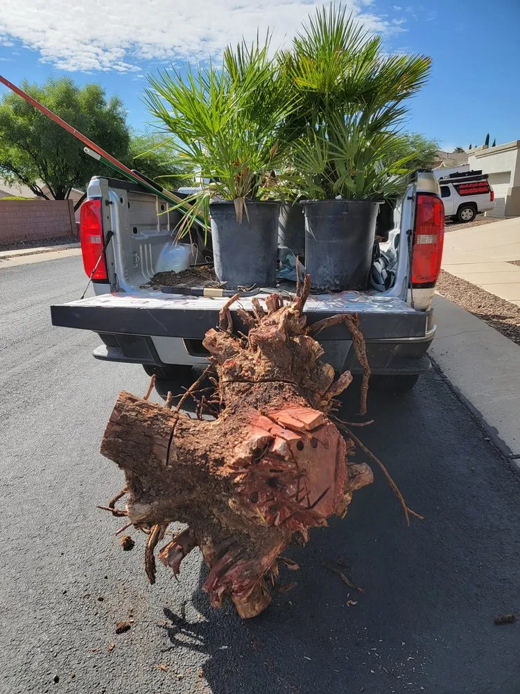Professional residential landscaping experts serving Tucson, AZ - Simple Service Solutions Landscaping