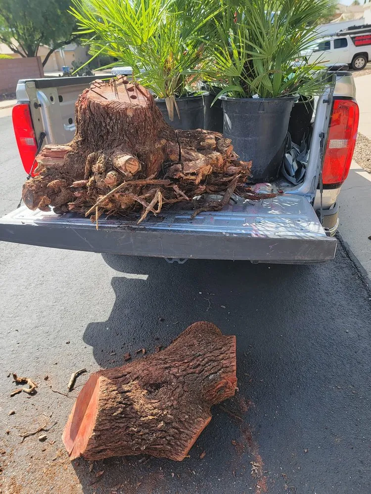 Top-rated landscaping services near you across Tucson, AZ - Simple Service Solutions Landscaping