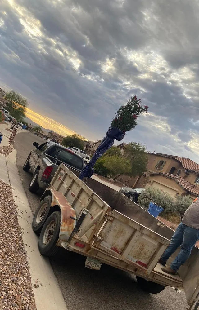 Affordable yard cleanup service near you in Tucson, AZ by Simple Service Solutions Landscaping