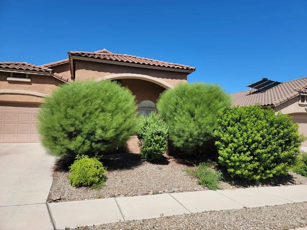 Trusted lawn care service experts serving Tucson, AZ - Simple Service Solutions Landscaping