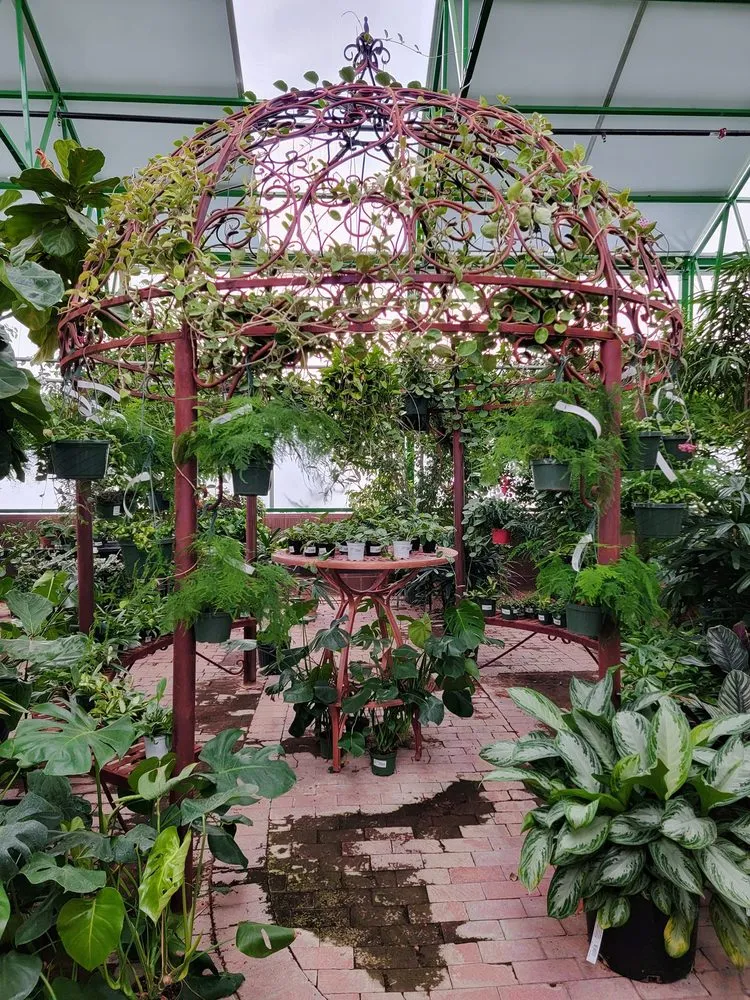 Local landscape design in Tucson, AZ - Simple Service Solutions Landscaping