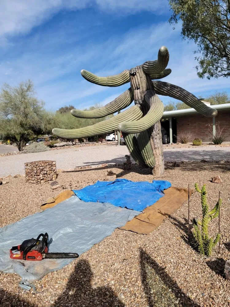 Affordable landscape design experts serving Tucson, AZ - Simple Service Solutions Landscaping