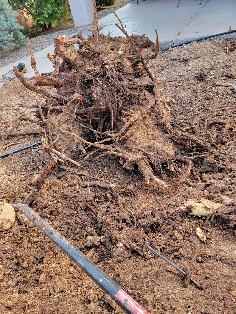 Professional yard maintenance for outdoor upgrades in Tucson, AZ by Simple Service Solutions Landscaping