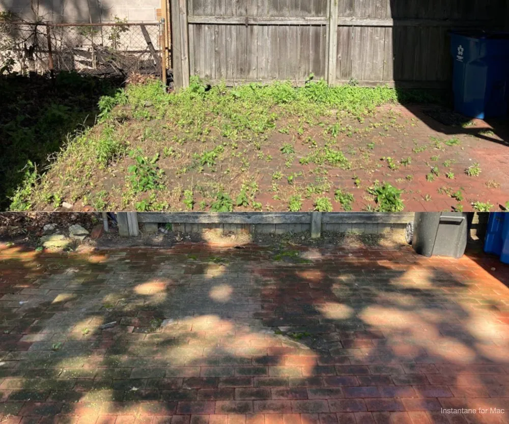 Trusted landscape installation for year-round maintenance across Maumee, OH - Simple Simon Maintenance