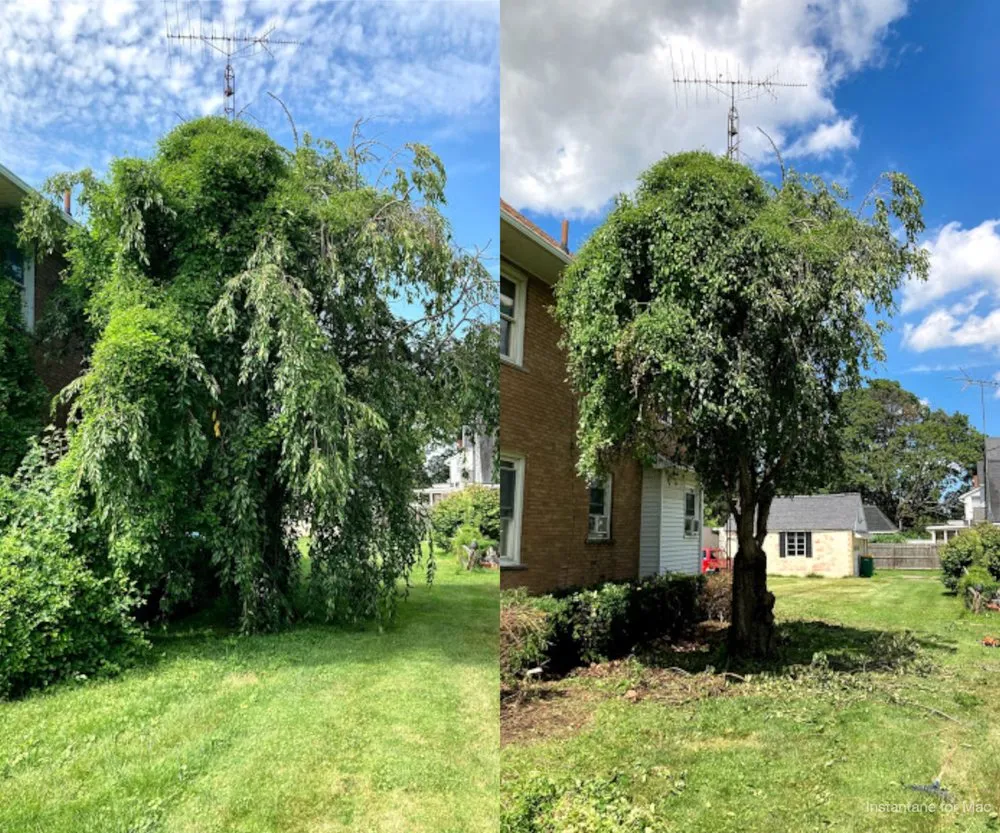 Affordable yard maintenance in Maumee, OH by Simple Simon Maintenance