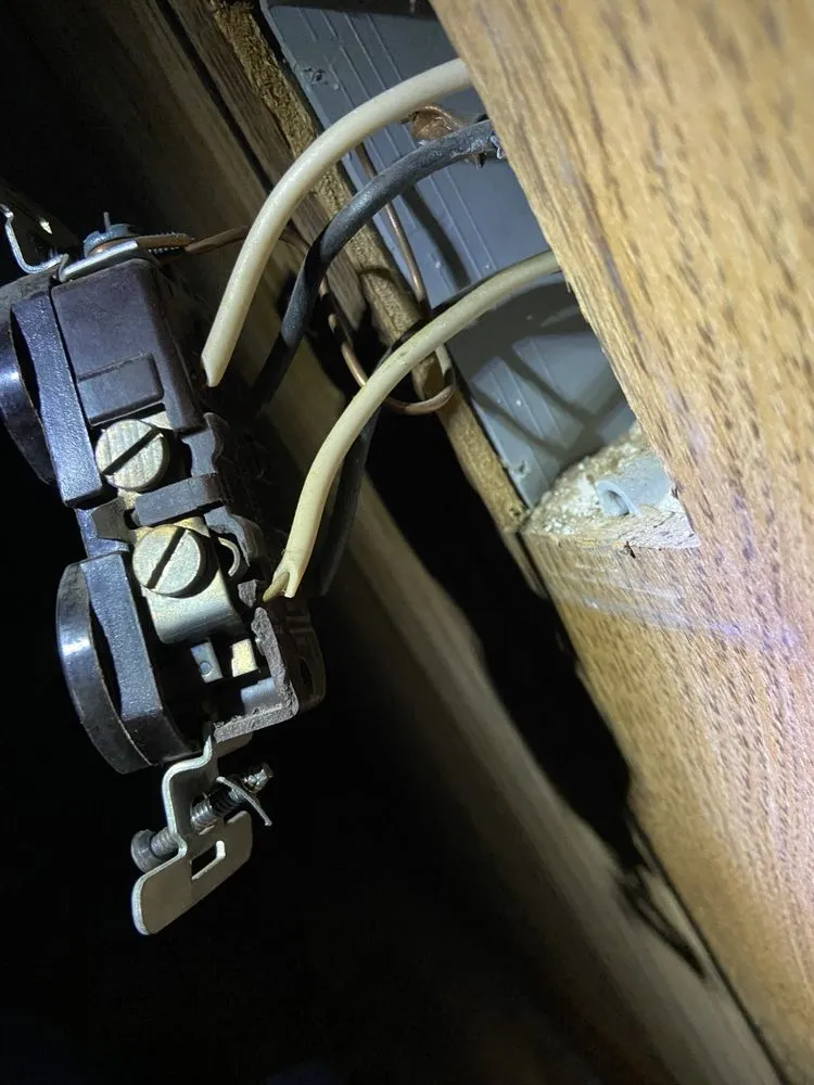 Top-rated yard cleanup service experts serving Roseboro, NC - Simple Solutions & Services