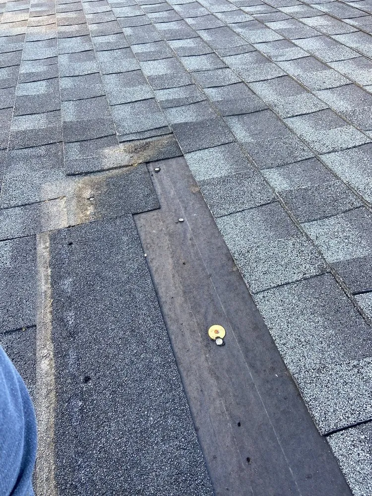 Reliable yard cleanup service in Roseboro, NC by Simple Solutions & Services