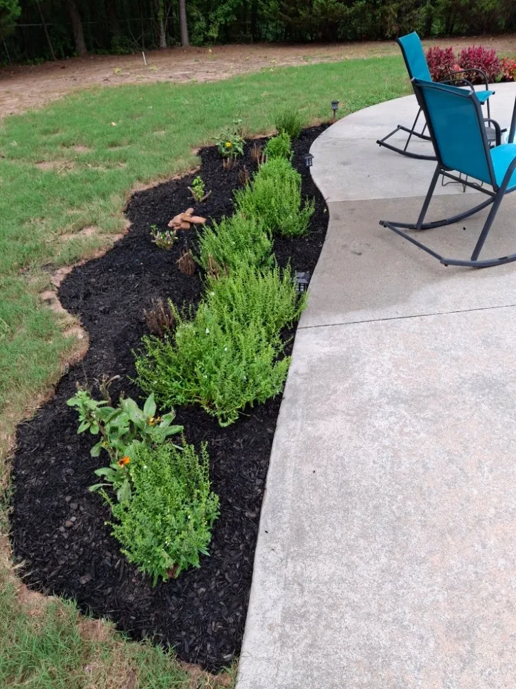 Trusted lawn care service in Newnan, GA - Simple Solutions