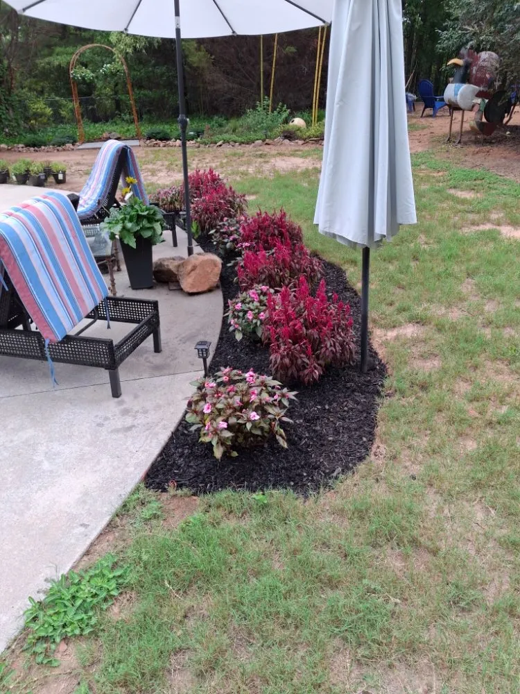 Custom lawn mowing service in Newnan, GA - Simple Solutions