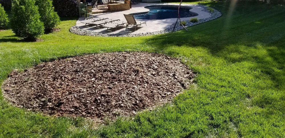 Local lawn care service near you in Charlotte, NC by Simple Stump