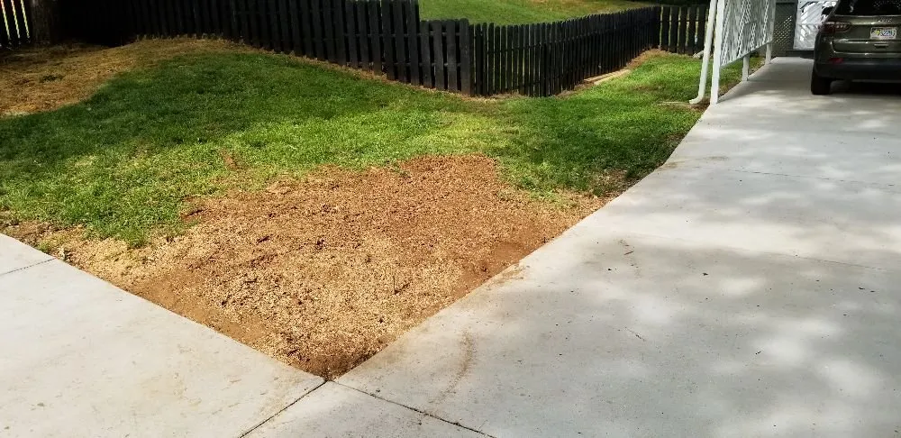 Affordable lawn care service near you across Charlotte, NC - Simple Stump