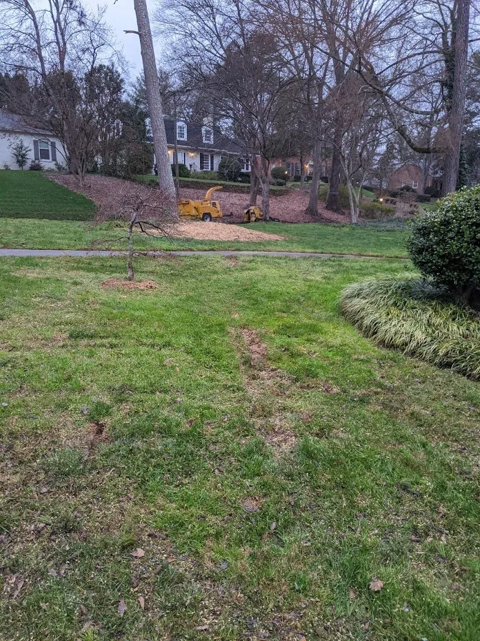 Custom yard cleanup service near you across Charlotte, NC - Simple Stump