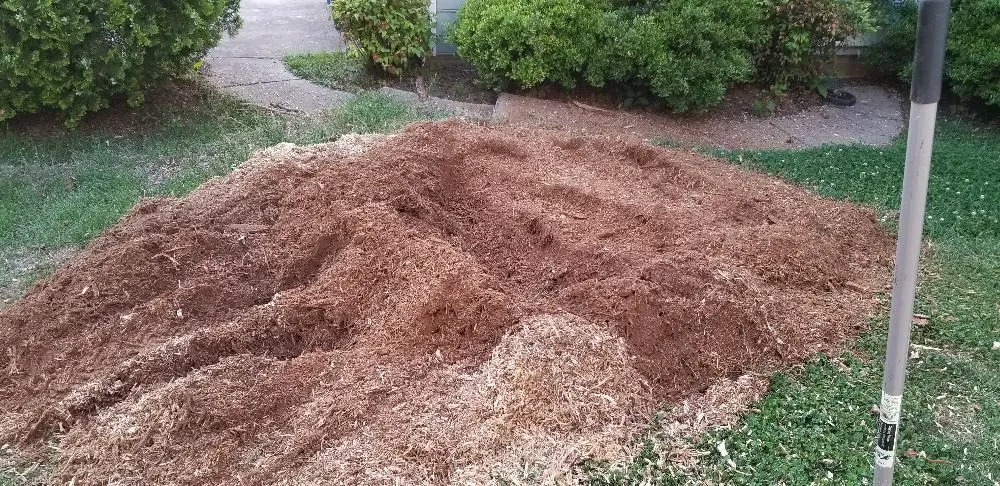 Affordable garden landscaping in Charlotte, NC - Simple Stump