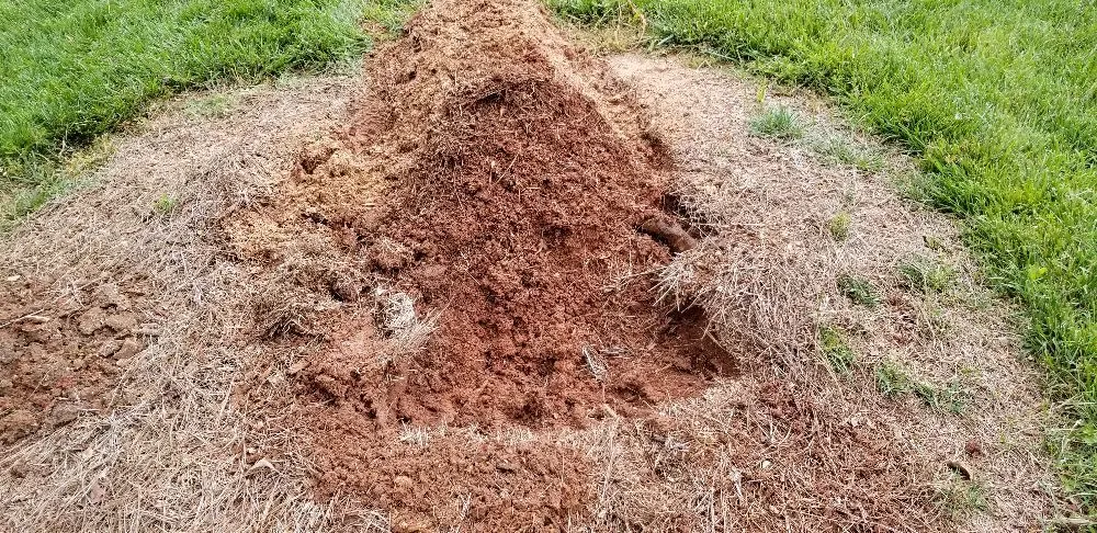 Top-rated yard cleanup service for residential properties across Charlotte, NC - Simple Stump