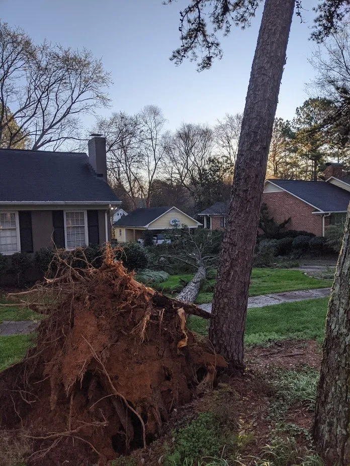 Top-rated landscape installation near you across Charlotte, NC - Simple Stump