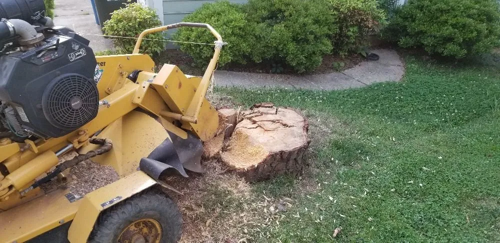 Expert landscaping services in Charlotte, NC - Simple Stump