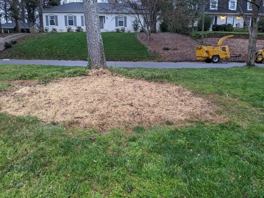 Top-rated outdoor landscaping in Charlotte, NC - Simple Stump