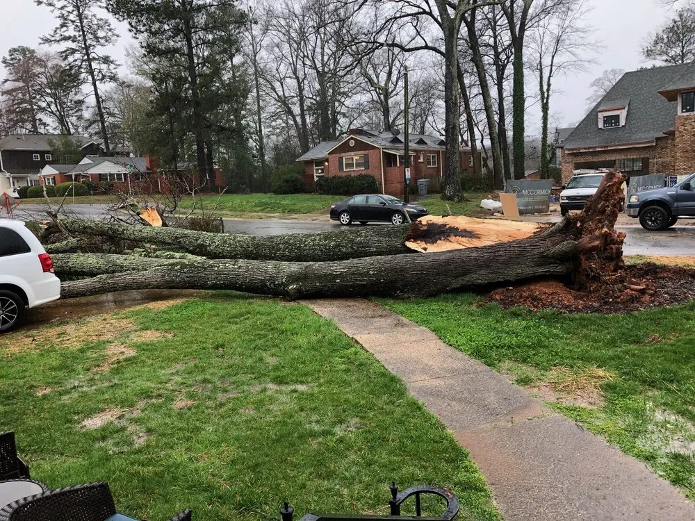 Reliable garden landscaping near you across Charlotte, NC - Simple Stump