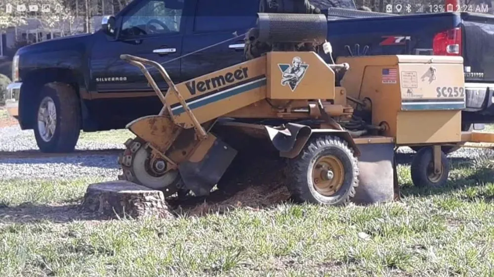 Local lawn care service for year-round maintenance across Charlotte, NC - Simple Stump