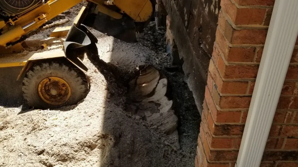 Affordable residential landscaping experts serving Charlotte, NC - Simple Stump