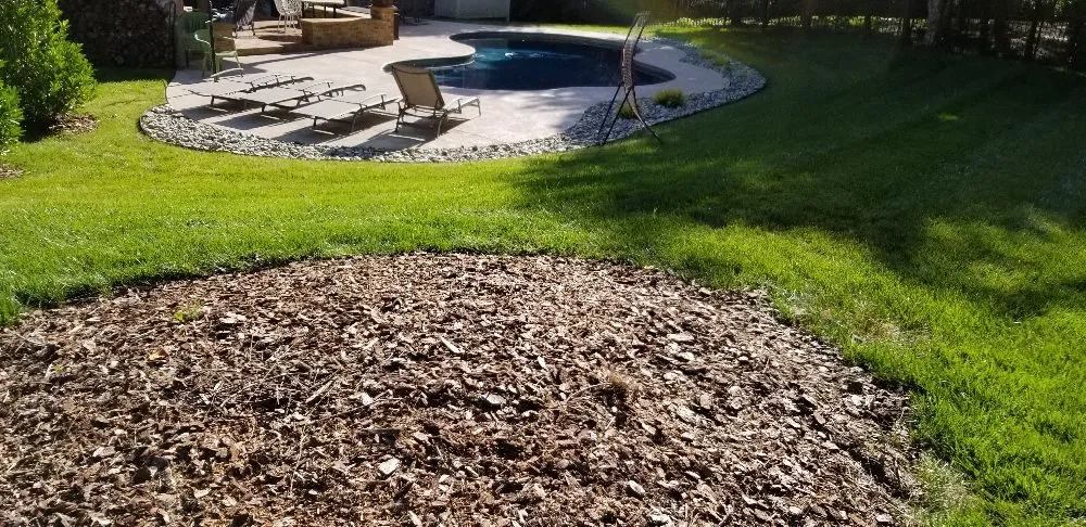 Expert yard maintenance in Charlotte, NC - Simple Stump