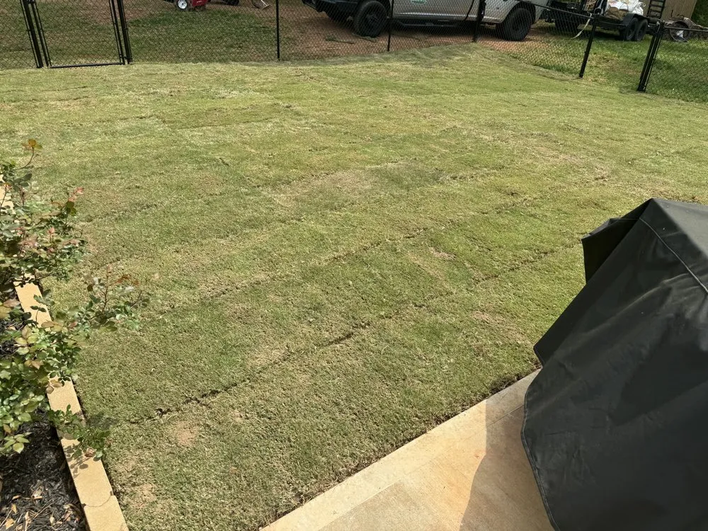 Expert yard cleanup service in Decatur, GA - Simple Touch Management