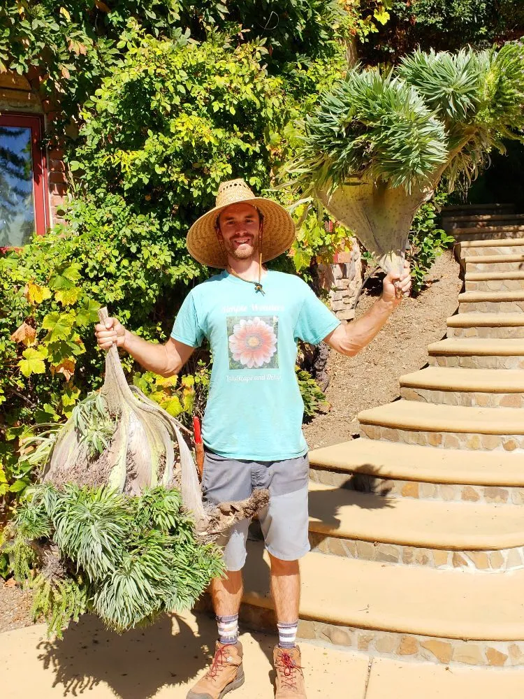 Expert garden landscaping near you in Boulder Creek, CA by Simple Wonders Landscape and Design