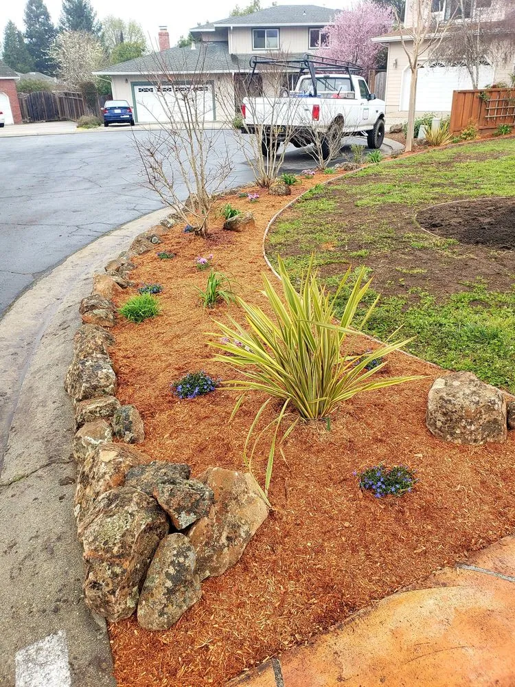 Top-rated lawn mowing service for homes across Boulder Creek, CA - Simple Wonders Landscape and Design