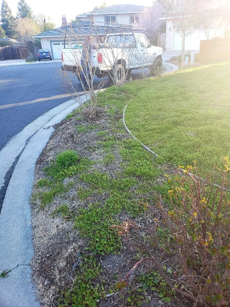 Custom garden landscaping experts serving Boulder Creek, CA - Simple Wonders Landscape and Design