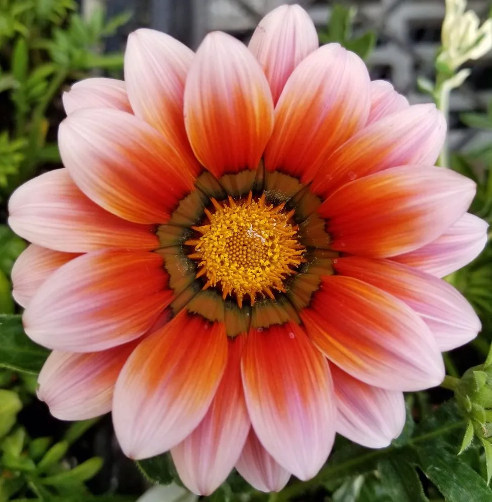 Reliable landscape installation in Boulder Creek, CA - Simple Wonders Landscape and Design